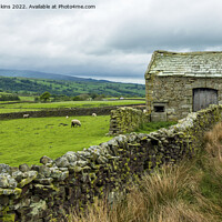 Buy canvas prints of Stone Barn in Forest of Bowland  by Nick Jenkins