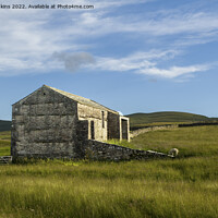 Buy canvas prints of A Dales Barn on a Summer Evening  by Nick Jenkins