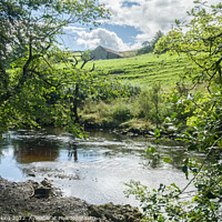 Buy canvas prints of The River Rawthey Sedbergh and Dales Barn  by Nick Jenkins