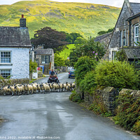 Buy canvas prints of Sheep being herded through Barbon Village Cumbria by Nick Jenkins