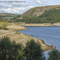 Buy canvas prints of Pen y Garreg Reservoir and a Group of Cows  by Nick Jenkins