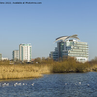 Buy canvas prints of Cardiff Bay Wetlands in February  by Nick Jenkins