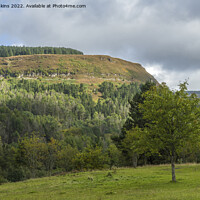 Buy canvas prints of The Hillside of Pen Pych Overlooking Blaencwm Rhondda Fawr by Nick Jenkins