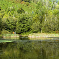 Buy canvas prints of Clydach Vale Country Park Upper Pond Rhondda Fawr  by Nick Jenkins