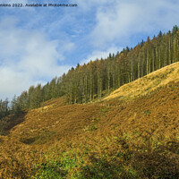 Buy canvas prints of The Top of Clydach Vale Rhondda Valley South Wales by Nick Jenkins