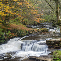 Buy canvas prints of Caerfanell Falls in Taff Fechan Valley Brecon Beac by Nick Jenkins