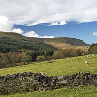 Buy canvas prints of Upper Neuadd Valley Central Brecon Beacons  by Nick Jenkins