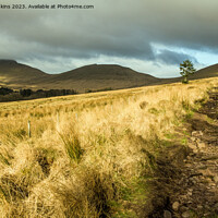 Buy canvas prints of Central Brecon Beacons in January in Winter Powys South Wales by Nick Jenkins