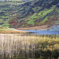 Buy canvas prints of The Llyn or Lake at Cwmorthin Slate Mines Snowdonia by Nick Jenkins