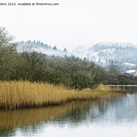 Buy canvas prints of Elterwater in the Great Langdale Valley Lake District Cumbria by Nick Jenkins