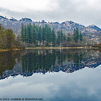 Buy canvas prints of Yew Tree Tarn on Road to Coniston by Nick Jenkins