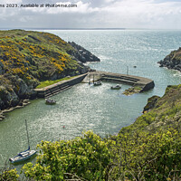 Buy canvas prints of Porthclais Harbour Pembrokeshire Coast West Wales by Nick Jenkins