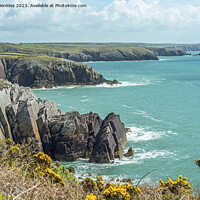 Buy canvas prints of Pembrokeshire Cliff Coast at Porthclais by Nick Jenkins