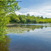 Buy canvas prints of Hensol Fishing Lake at Hensol Forest  by Nick Jenkins
