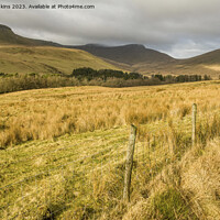 Buy canvas prints of Upper Neuadd Valley Brecon Beacons  by Nick Jenkins