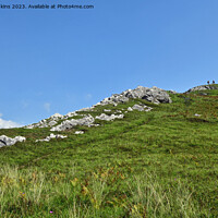 Buy canvas prints of Half Way Up Cwm Ivy Tor North Gower  by Nick Jenkins