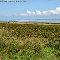 Buy canvas prints of View from Cefn Bryn Ridge to South Wales Coastline by Nick Jenkins
