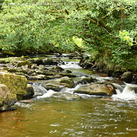 Buy canvas prints of Taff Fechan River just above the waterfall  by Nick Jenkins