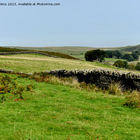 Buy canvas prints of Drystone Walling Gelligaer and Merthyr Common  by Nick Jenkins
