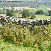 Buy canvas prints of Drystone Wall Dipped on Gelligaer Common  by Nick Jenkins