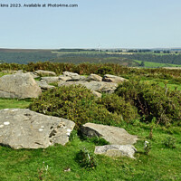Buy canvas prints of Limestone boulders left on Gelligaer Common by Nick Jenkins