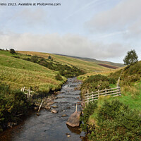 Buy canvas prints of River Llia in the Fforest Fawr Area Brecon Beacons by Nick Jenkins