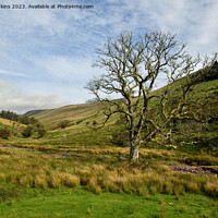 Buy canvas prints of Valley in Central Brecon Beacons October  by Nick Jenkins
