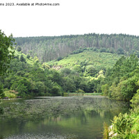 Buy canvas prints of Pond at Clydach Vale Rhondda Valley South Wales by Nick Jenkins