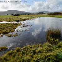 Buy canvas prints of Pond on Mynydd Illtyd Common Brecon Beacons  by Nick Jenkins