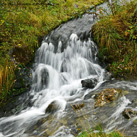 Buy canvas prints of Narrow waterfall on stream taking water to Clydach by Nick Jenkins