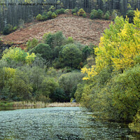 Buy canvas prints of The Nature Reserve and Pond at Clydach Vale off the Rhondda Valley  by Nick Jenkins