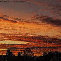 Buy canvas prints of An amazing sky over Cardiff last December  by Nick Jenkins