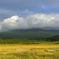 Buy canvas prints of Summer Evening Over the Brecon Beacons by Nick Jenkins