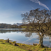 Buy canvas prints of Loughrigg Tarn in the Lake District National Park  by Nick Jenkins
