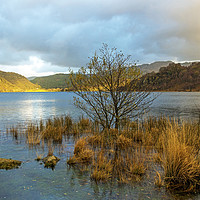 Buy canvas prints of Top end of Llyn Dinas in Snowdonia National Park  by Nick Jenkins