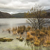 Buy canvas prints of Llyn Dinas Lake in Nant Gwynant Snowdonia National by Nick Jenkins