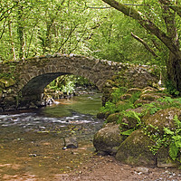 Buy canvas prints of Hisley Packhorse Bridge Dartmoor National Park by Nick Jenkins