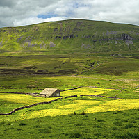 Buy canvas prints of Pen y Ghent and Barn Yorkshire Dales National Park by Nick Jenkins