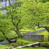 Buy canvas prints of The Base of Malham Cove Yorkshire Dales in summer by Nick Jenkins