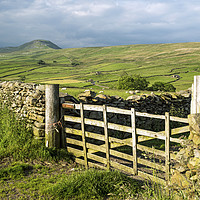 Buy canvas prints of Across Ribblesdale to Pen y Ghent on a sunny day  by Nick Jenkins