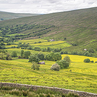 Buy canvas prints of Deepdale Yorkshire Dales, side valley of Dentdale by Nick Jenkins