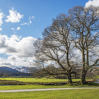 Buy canvas prints of The Great Langdale Valley by Nick Jenkins
