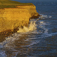 Buy canvas prints of The Cliffs at Nash Point Glamorgan Heritage Coast  by Nick Jenkins