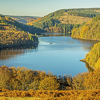 Buy canvas prints of Llyn Brianne Reservoir Mid Wales Autumn Tints by Nick Jenkins