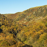 Buy canvas prints of Autumn in the Doethie Valley Carmarthenshire Wales by Nick Jenkins