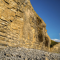 Buy canvas prints of Glamorgan Heritage Coast Cliffs at Cwm Nash Beach  by Nick Jenkins