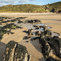 Buy canvas prints of The Beach at Manorbier south Pembrokeshire by Nick Jenkins