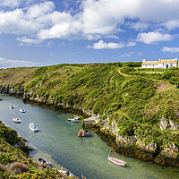 Buy canvas prints of Porthclais Harbour and creek North Pembrokeshire by Nick Jenkins