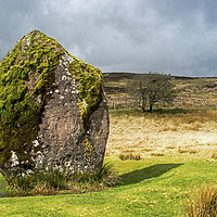 Buy canvas prints of Maen Llia Standing Stone and tree  Brecon Beacons by Nick Jenkins