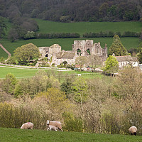 Buy canvas prints of Llanthony Priory Vale of Ewyas Black Mountains  by Nick Jenkins